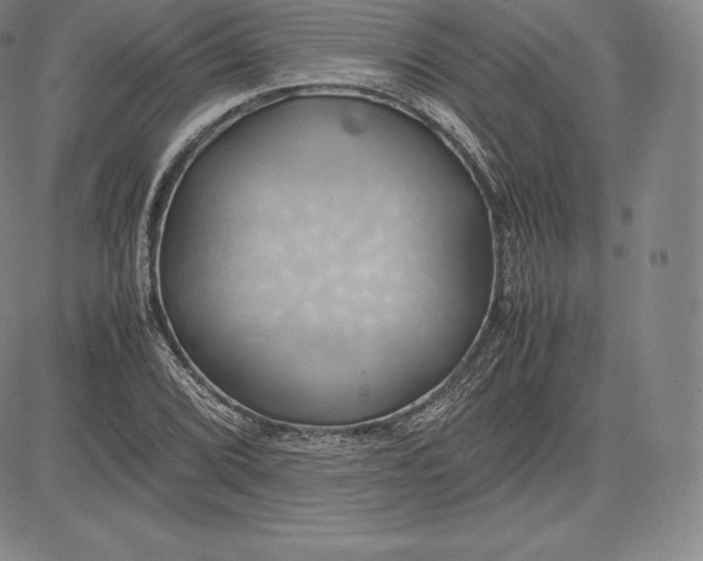 X0000083621072200703051603