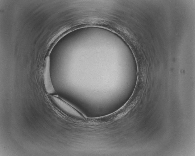 X0000083621073200703051603