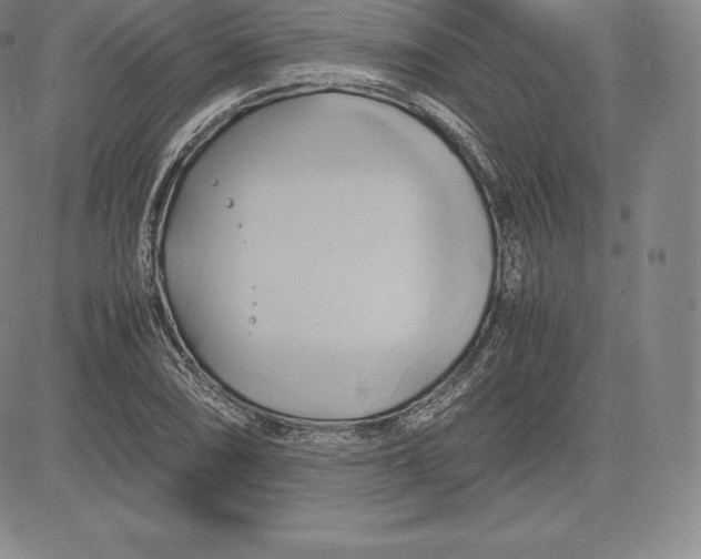 X0000083621074200703051603