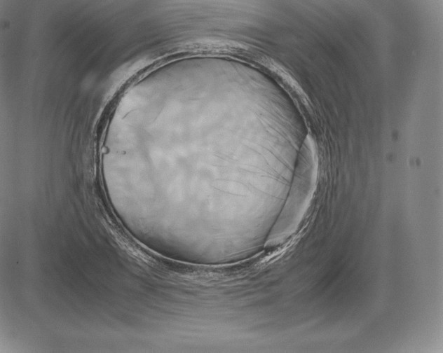 X0000083621075200703051603