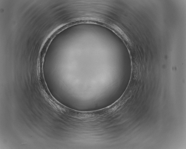 X0000083621076200703051603