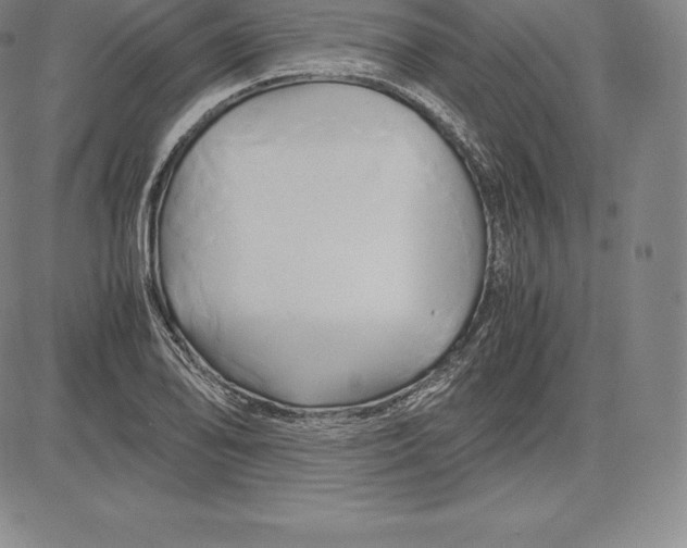 X0000083621078200703051603