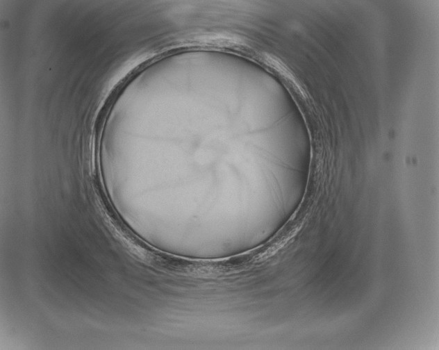 X0000083621079200703051603