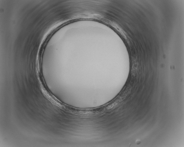 X0000083621080200703051603