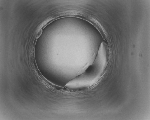 X0000083621081200703051603