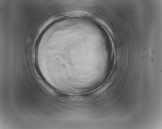 X0000083621083200703051603