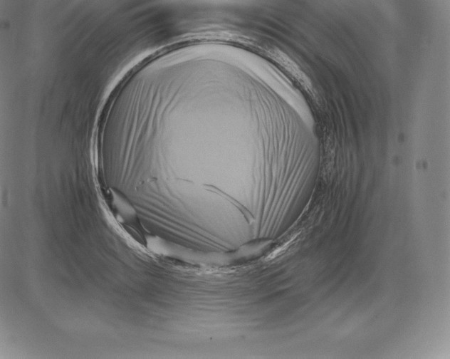 X0000083621084200703051603