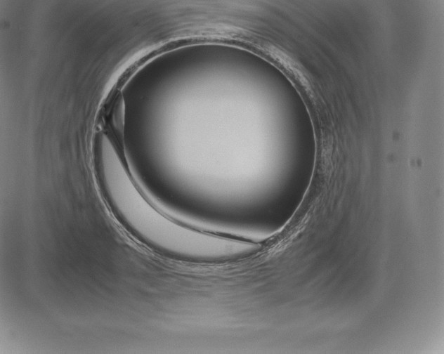 X0000083621085200703051603