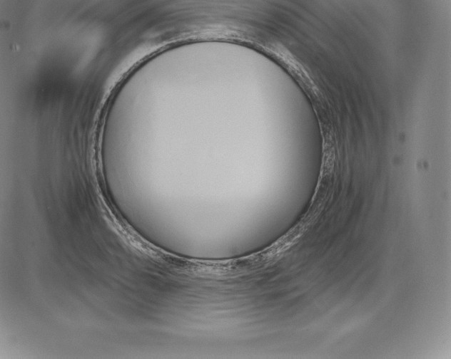 X0000083621086200703051603