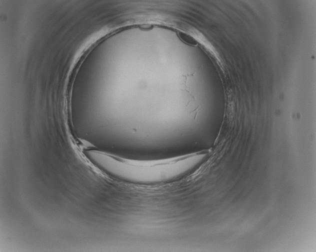 X0000083621088200703051603