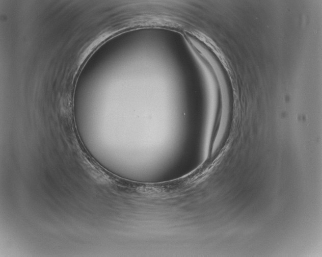 X0000083621089200703051603