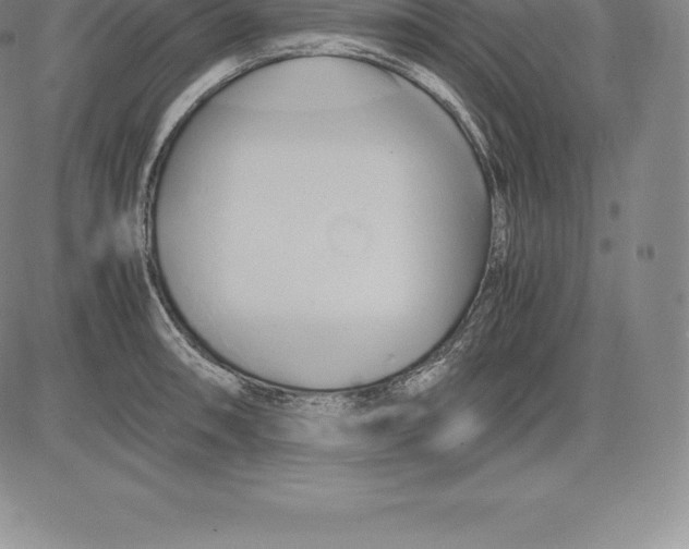 X0000083621090200703051603