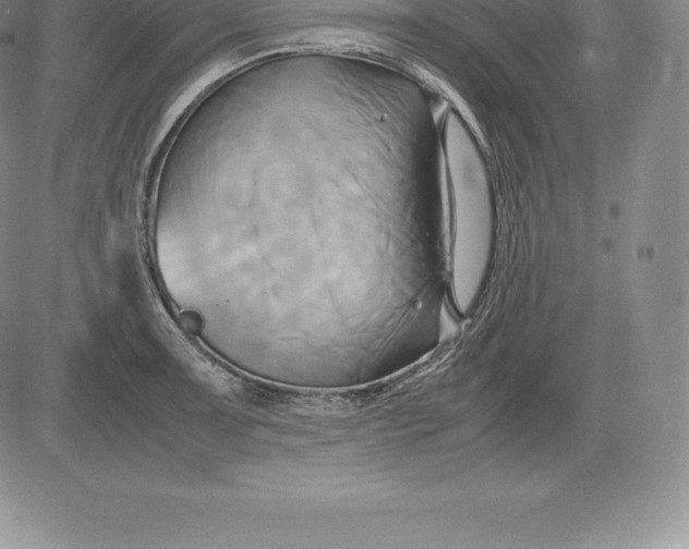 X0000083621091200703051603