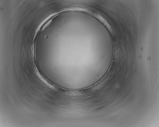 X0000083621092200703051603