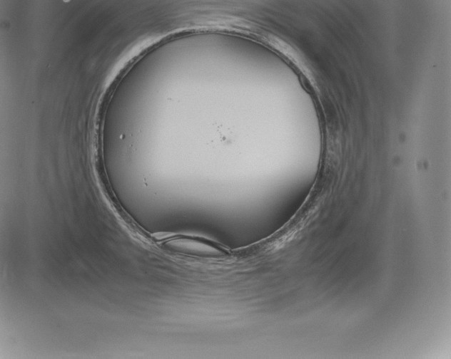 X0000083621093200703051603