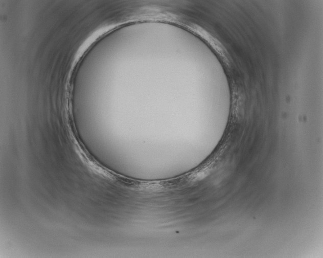 X0000083621094200703051603