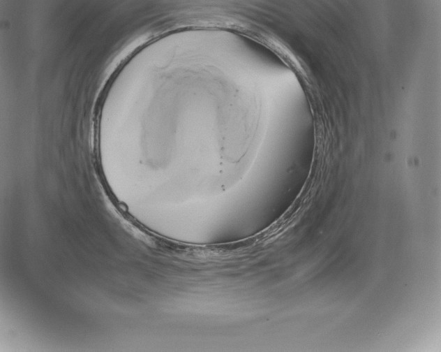 X0000083621095200703051603