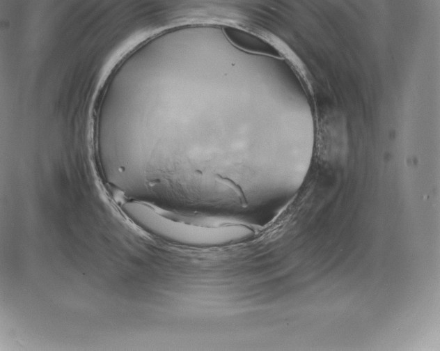 X0000083621096200703051603