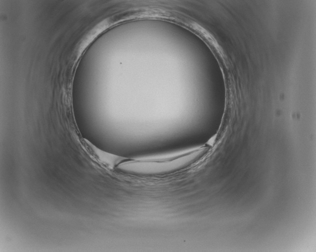 X0000083621097200703051603