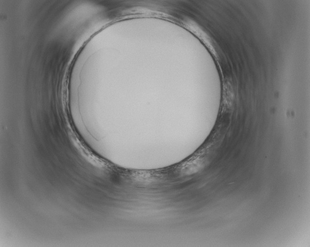 X0000083621098200703051603