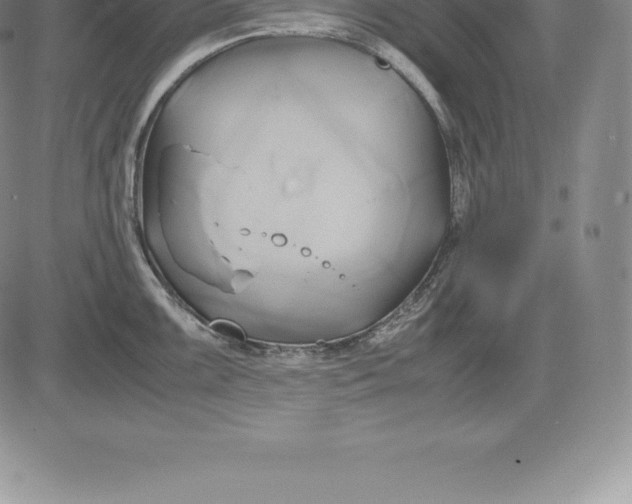 X0000083621099200703051603