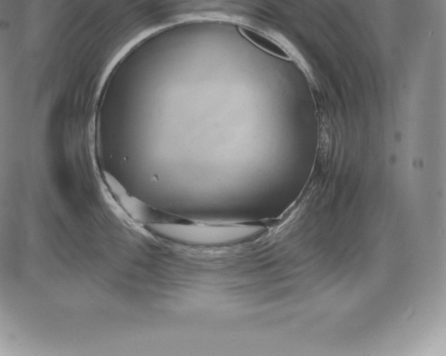 X0000083621100200703051603