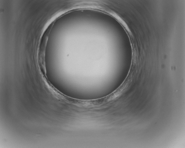 X0000083621101200703051603