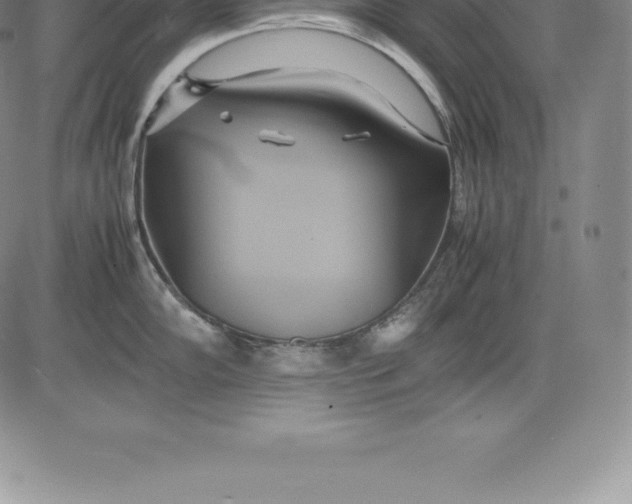 X0000083621102200703051603