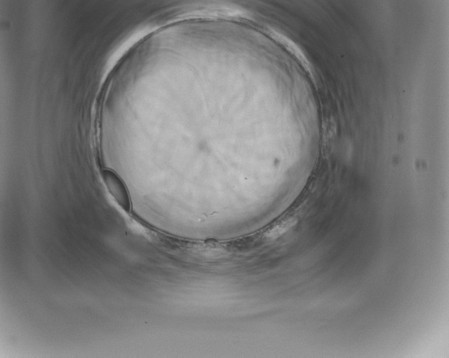 X0000083621103200703051603