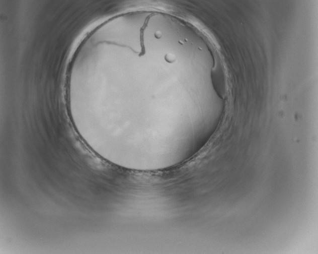 X0000083621104200703051603