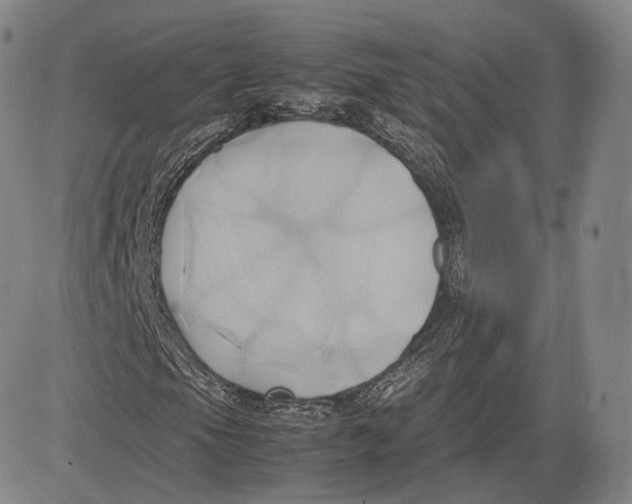 X0000083621105200703051602