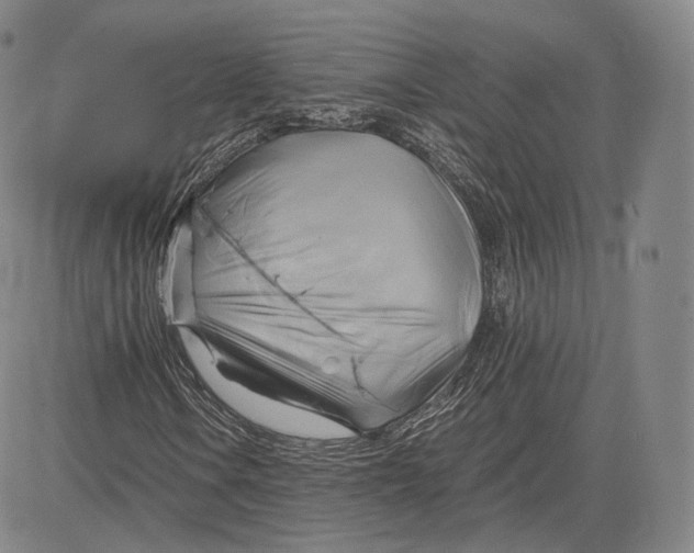 X0000083621106200703051602