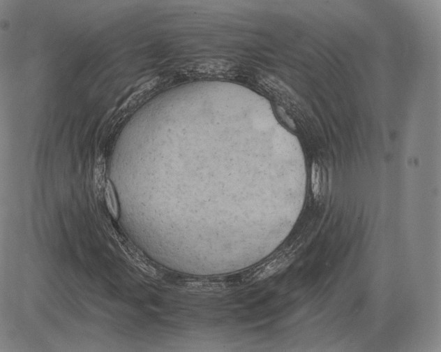 X0000083621107200703051602