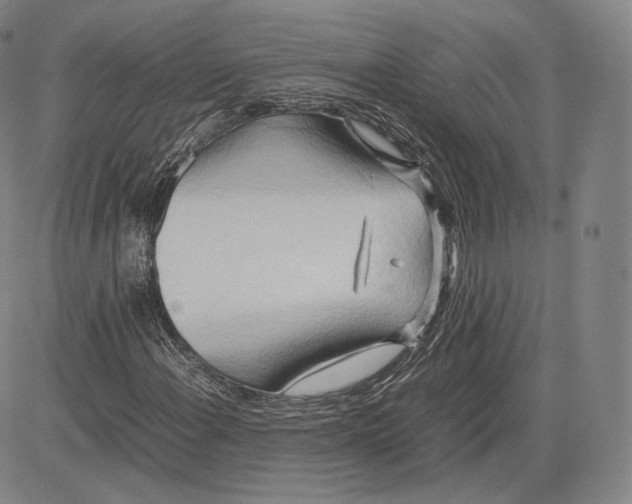 X0000083621108200703051602