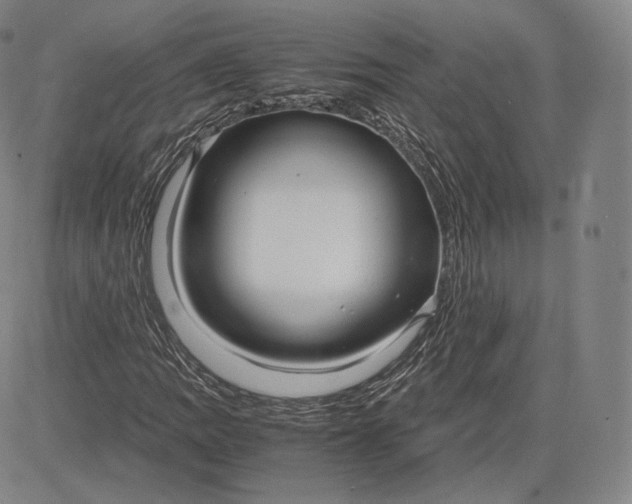 X0000083621109200703051602