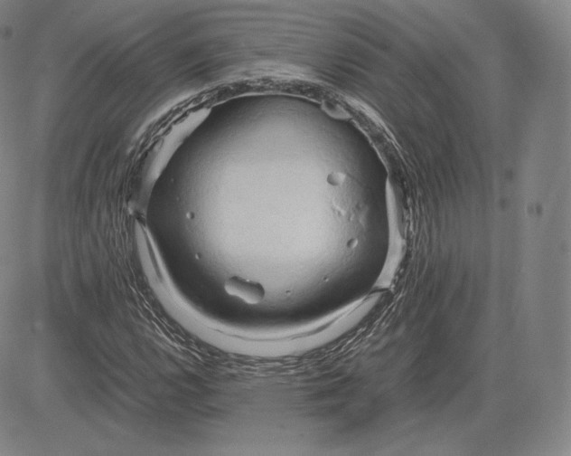 X0000083621112200703051602