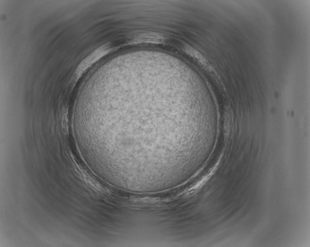 X0000083621113200703051602