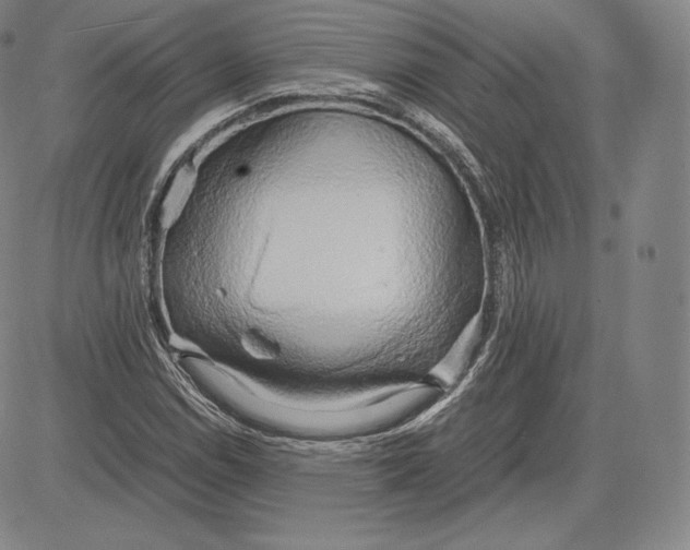 X0000083621114200703051602