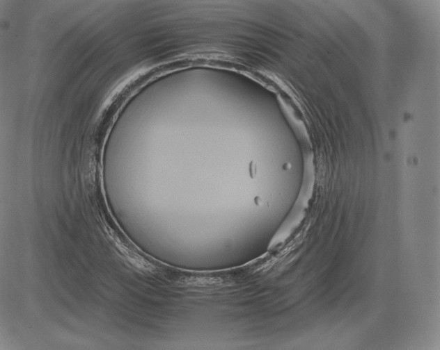 X0000083621115200703051602