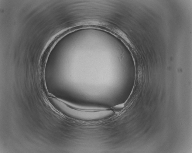 X0000083621116200703051602