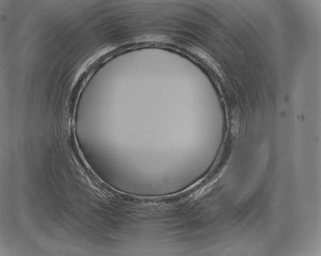 X0000083621117200703051602