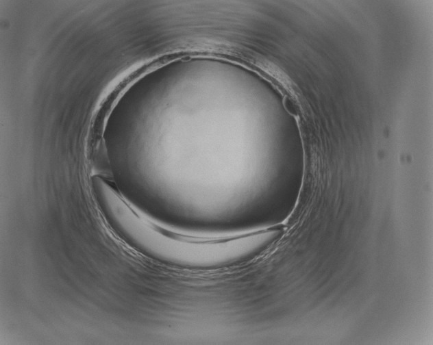 X0000083621120200703051602