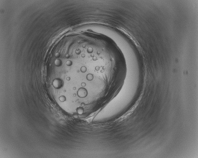 X0000083621121200703051602