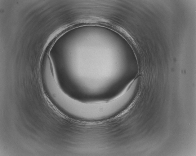 X0000083621122200703051602