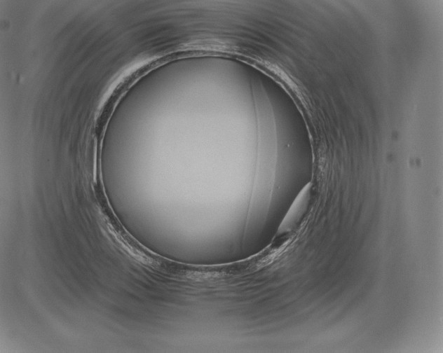 X0000083621123200703051602