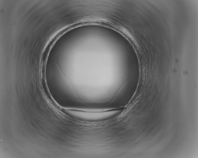 X0000083621124200703051602