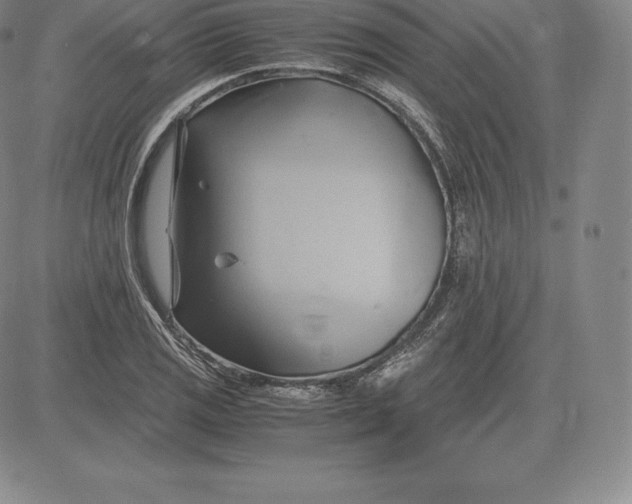 X0000083621125200703051602