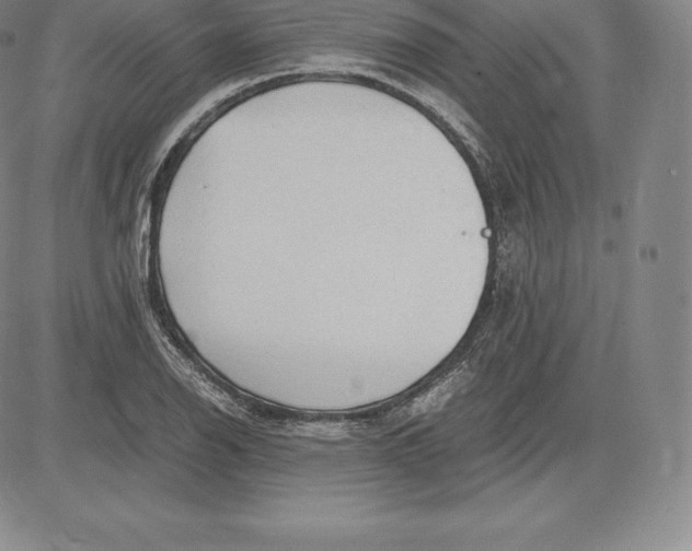 X0000083621126200703051602