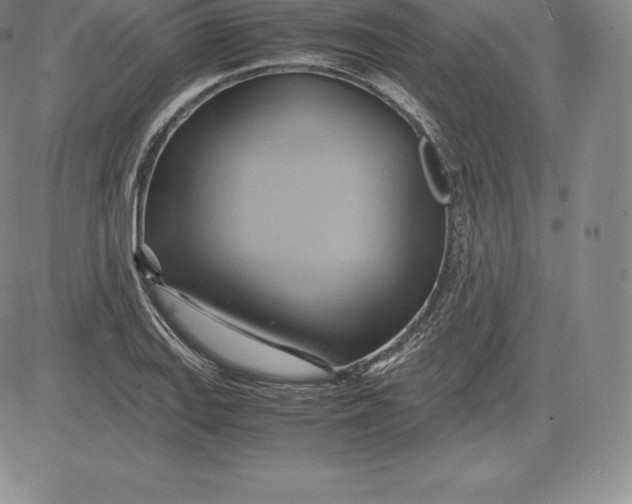 X0000083621127200703051602