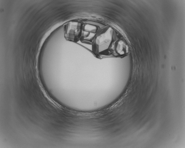 X0000083621128200703051602